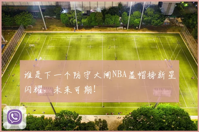谁是下一个防守大闸NBA盖帽榜新星闪耀,未来可期!