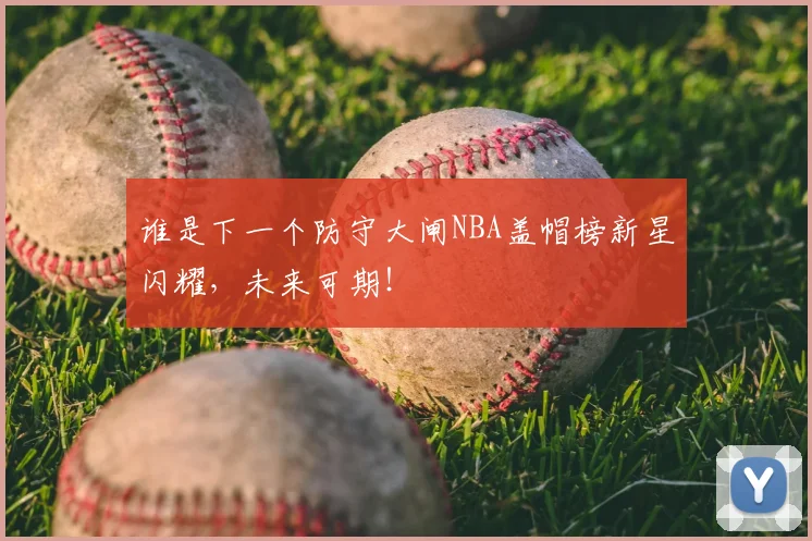 谁是下一个防守大闸NBA盖帽榜新星闪耀，未来可期！