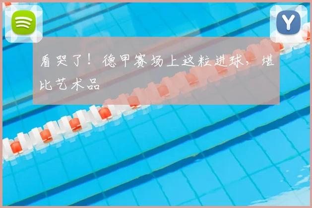 看哭了!德甲赛场上这粒进球,堪比艺术品